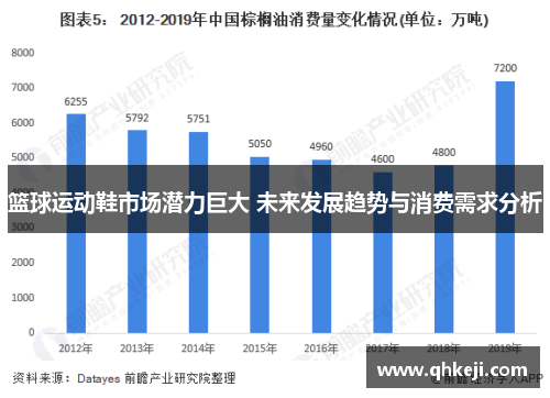 篮球运动鞋市场潜力巨大 未来发展趋势与消费需求分析
