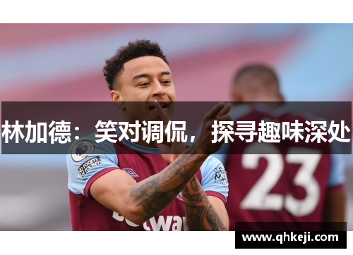 林加德：笑对调侃，探寻趣味深处